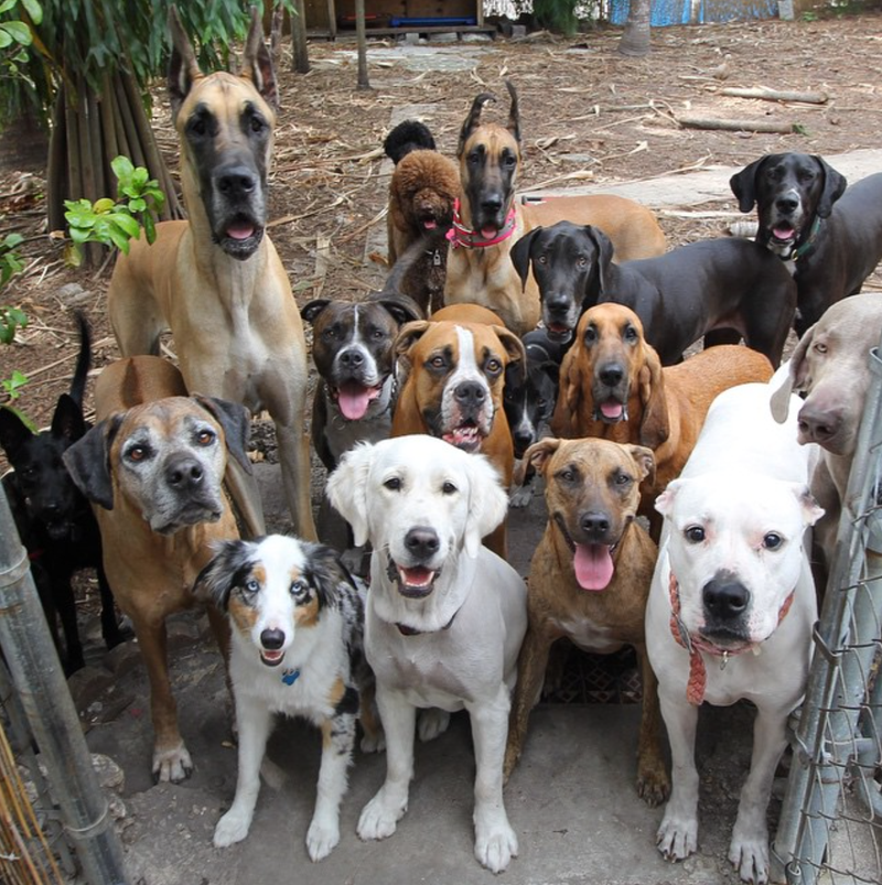 Illustration for article titled Yes, this photo is the best